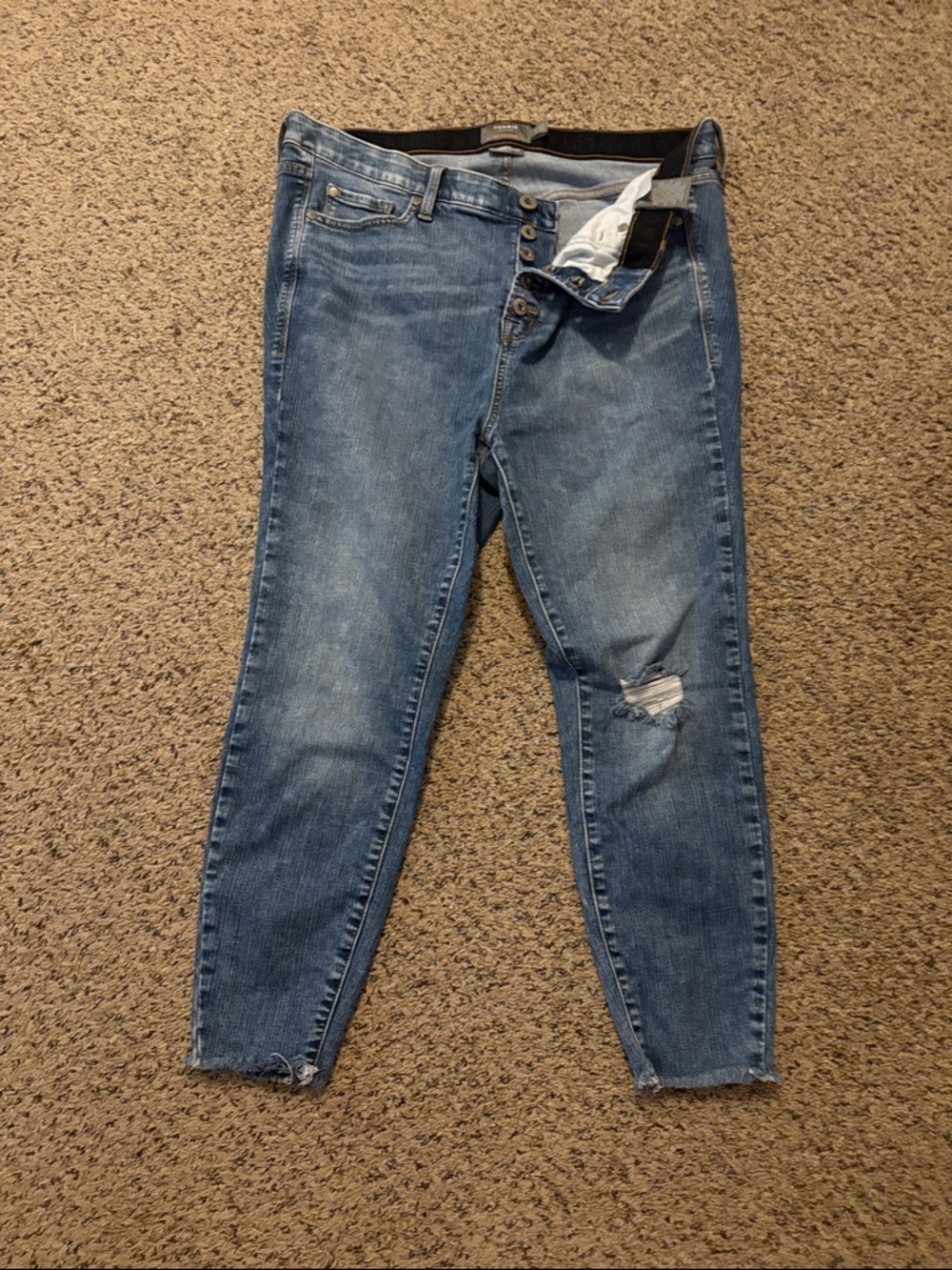 torrid Distressed Skinny Jeans in Medium Blue